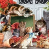 Vermont Christmas Company Garden Cats Jigsaw Puzzle 1000 Piece -Funko Favour 6 134