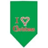 Mirage Pet Products 66-25-04 SMEG Heart Christmas Screen Print Bandana Emerald Green Small -Funko Favour 6 1385