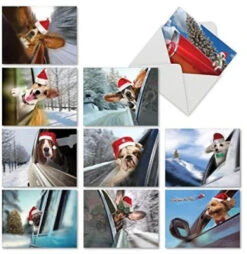 10 Assorted 'Christmas Smitten Kittens' Blank Holiday Note Cards W/Envelopes 10cm X 13cm , Stationery Set Featuring Smiling Kittens In Santa Hats, Greeting Cards For All Occasions M6485XSB