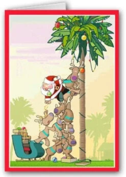 Christmas Palm Holiday Card - Funny 12 Cards/ 13 Envelopes